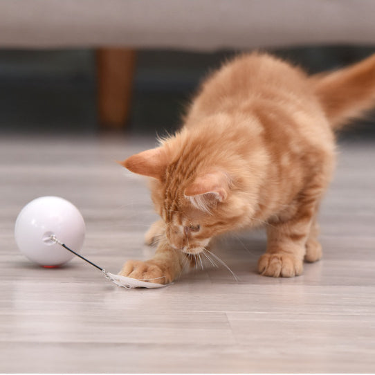 Automatic Rolling Ball Toy