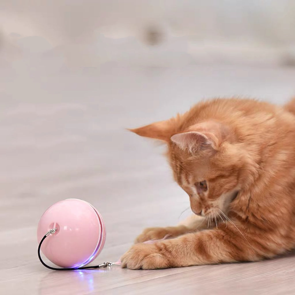 Automatic Rolling Ball Toy