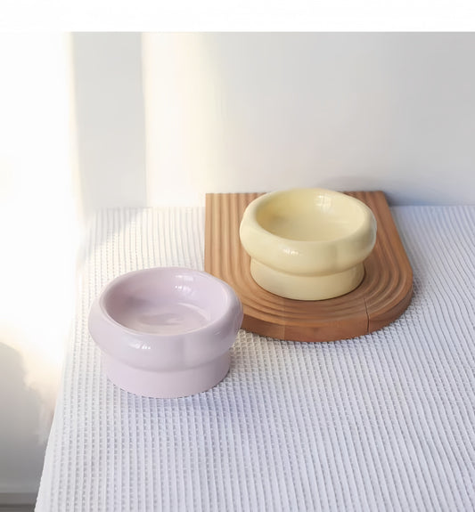 Elegant Ceramic Elevated Food Bowl