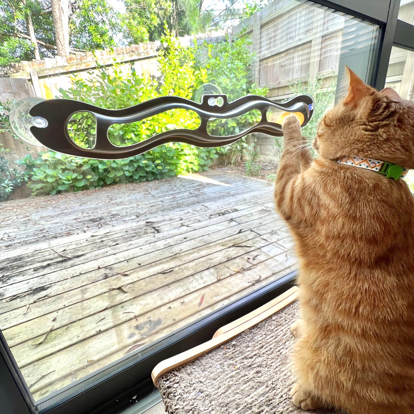 Cat Roll & Track Window Toy