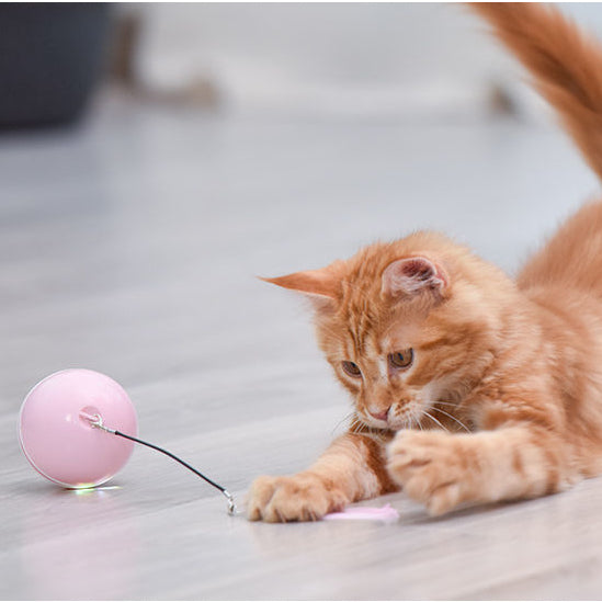 Automatic Rolling Ball Toy