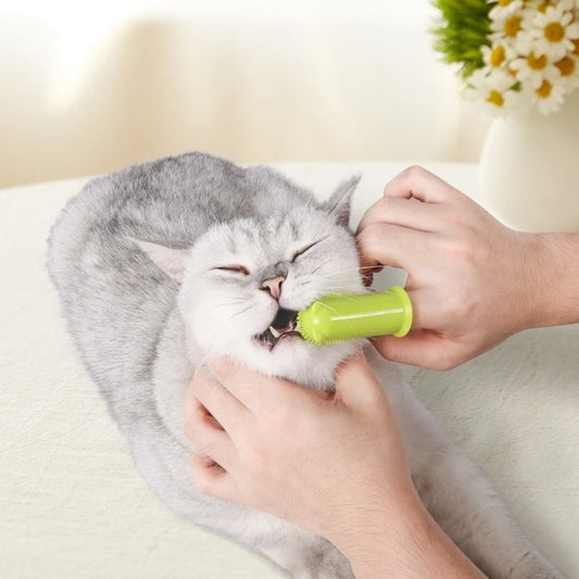 Cat Finger Toothbrush