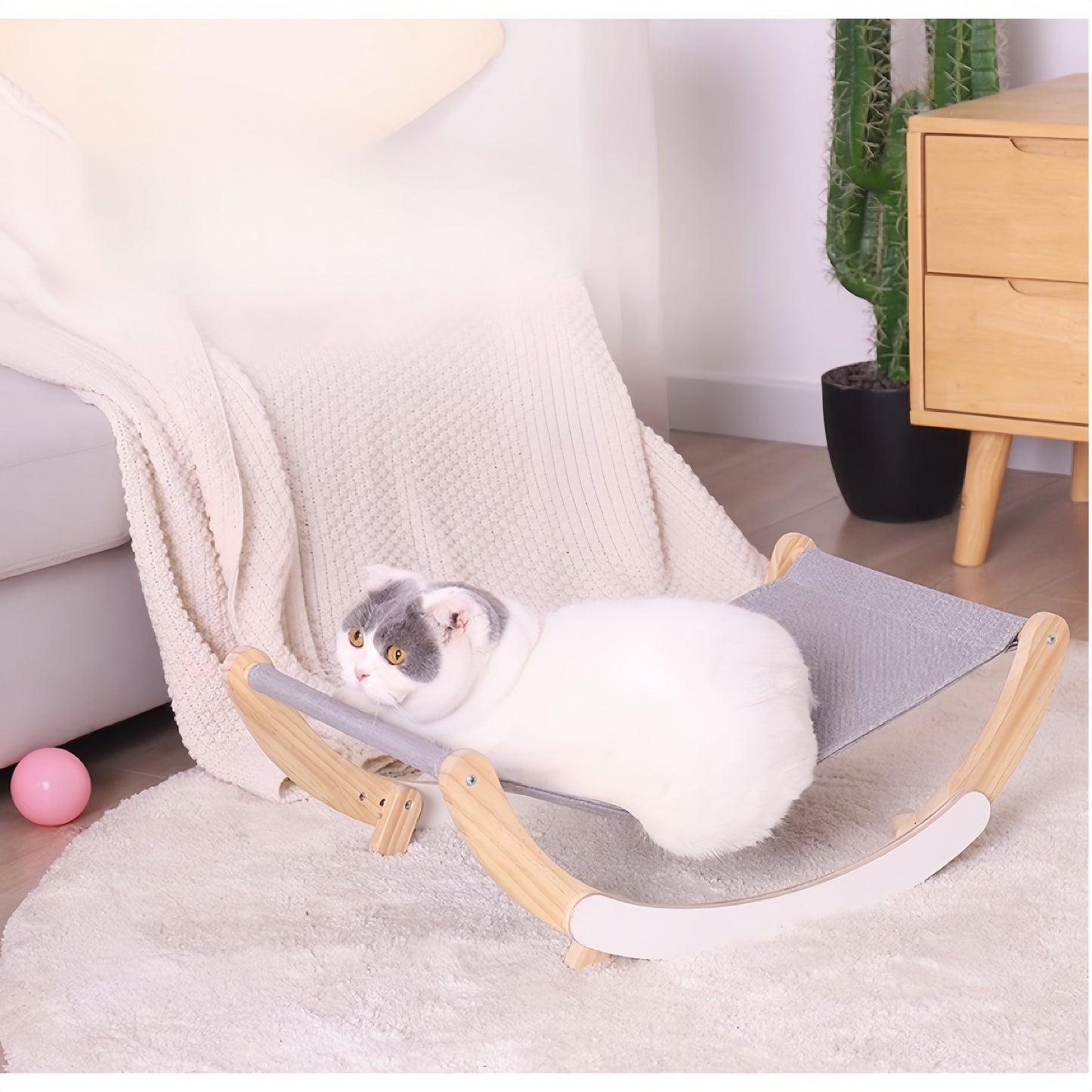 Cat Canvas Bed