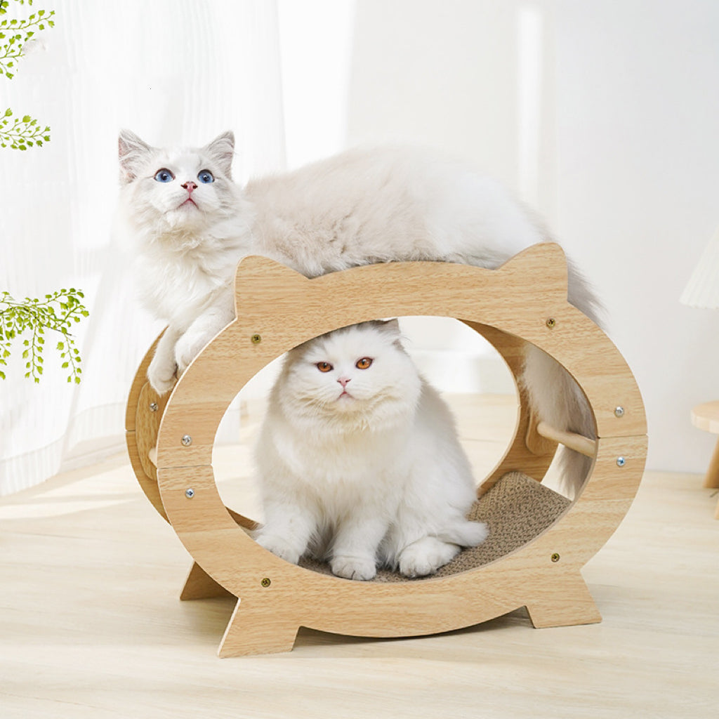 Cat TV Frame Scratcher Bed