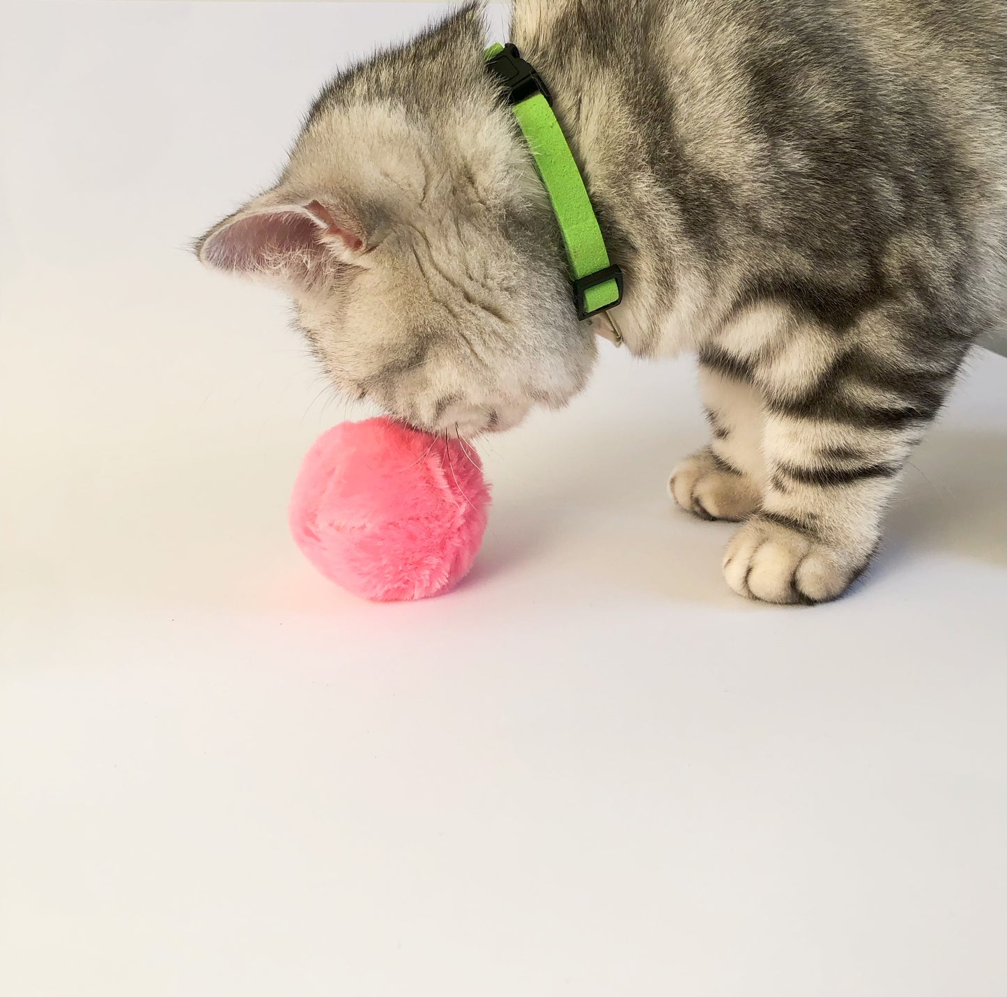 Cat Chirping Interactive Fluffy Ball Toy