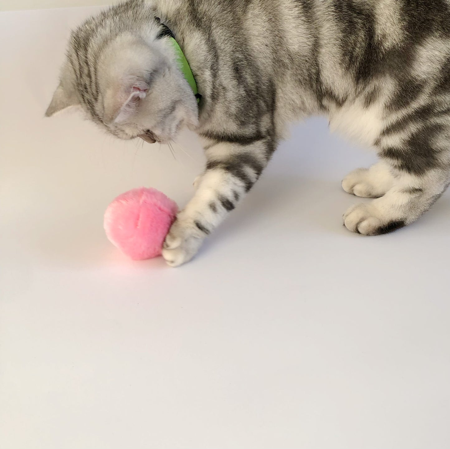 Cat Chirping Interactive Fluffy Ball Toy