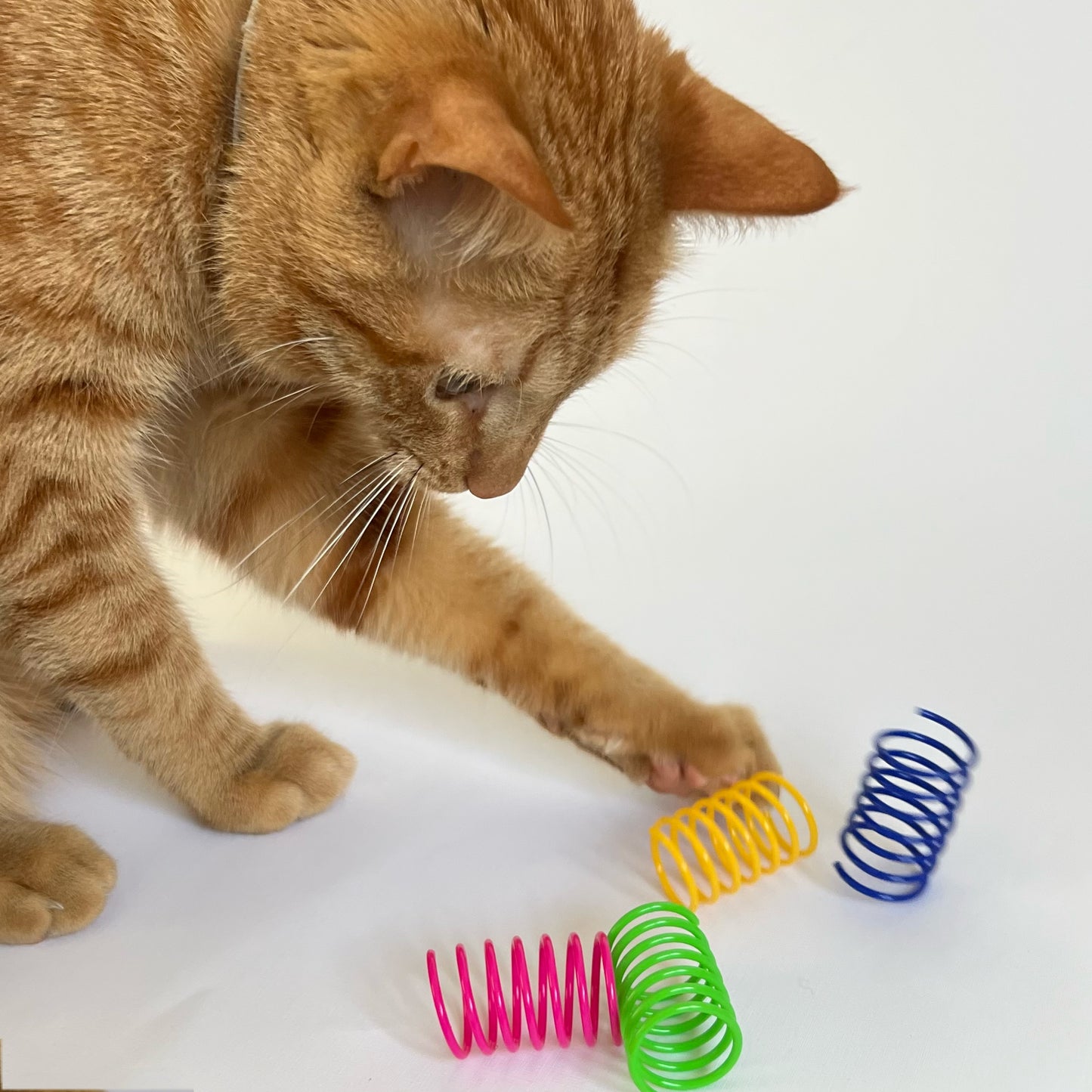 Cat Toy Rainbow Spring Set