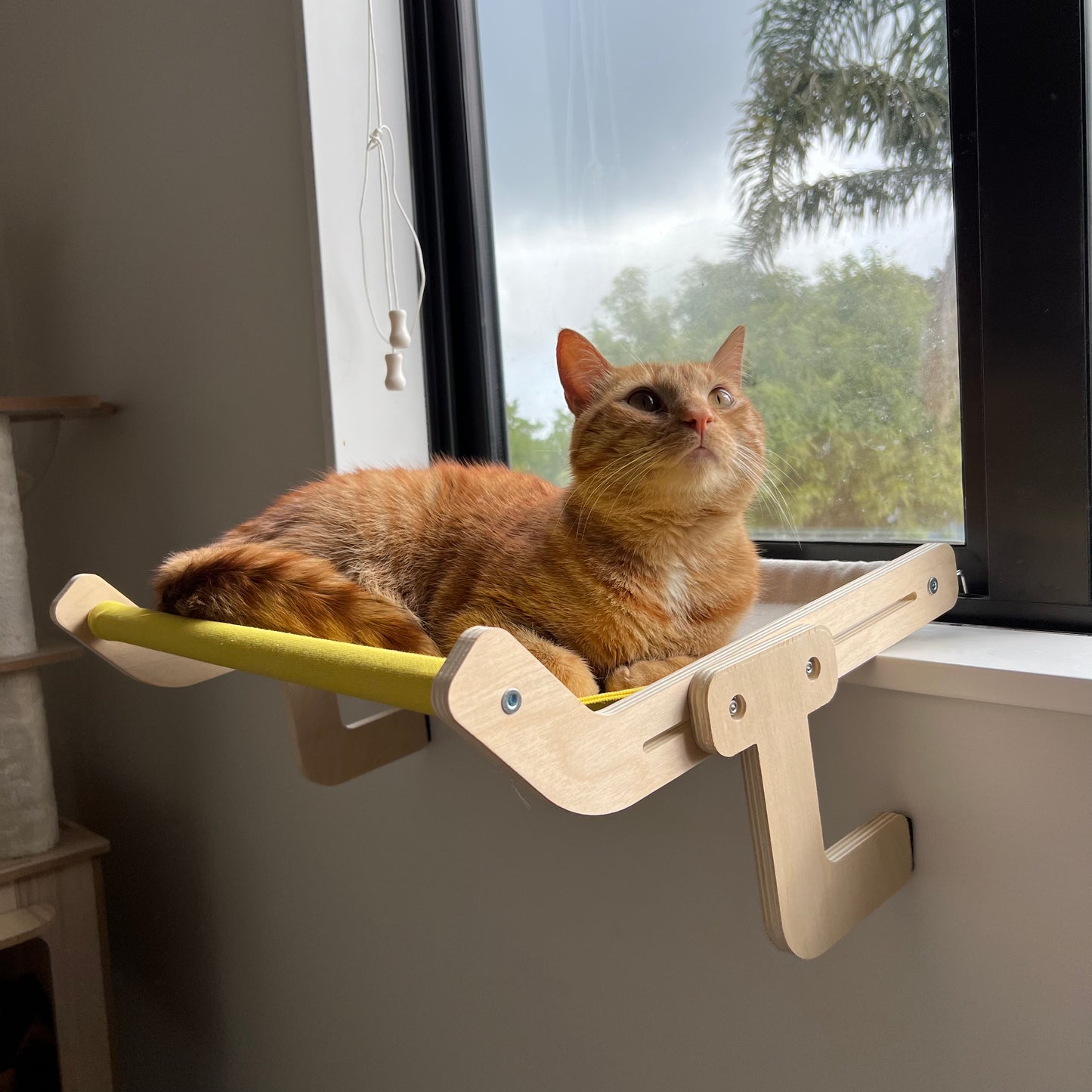 Cat Window Bedside Hammock - Yellow & Grey