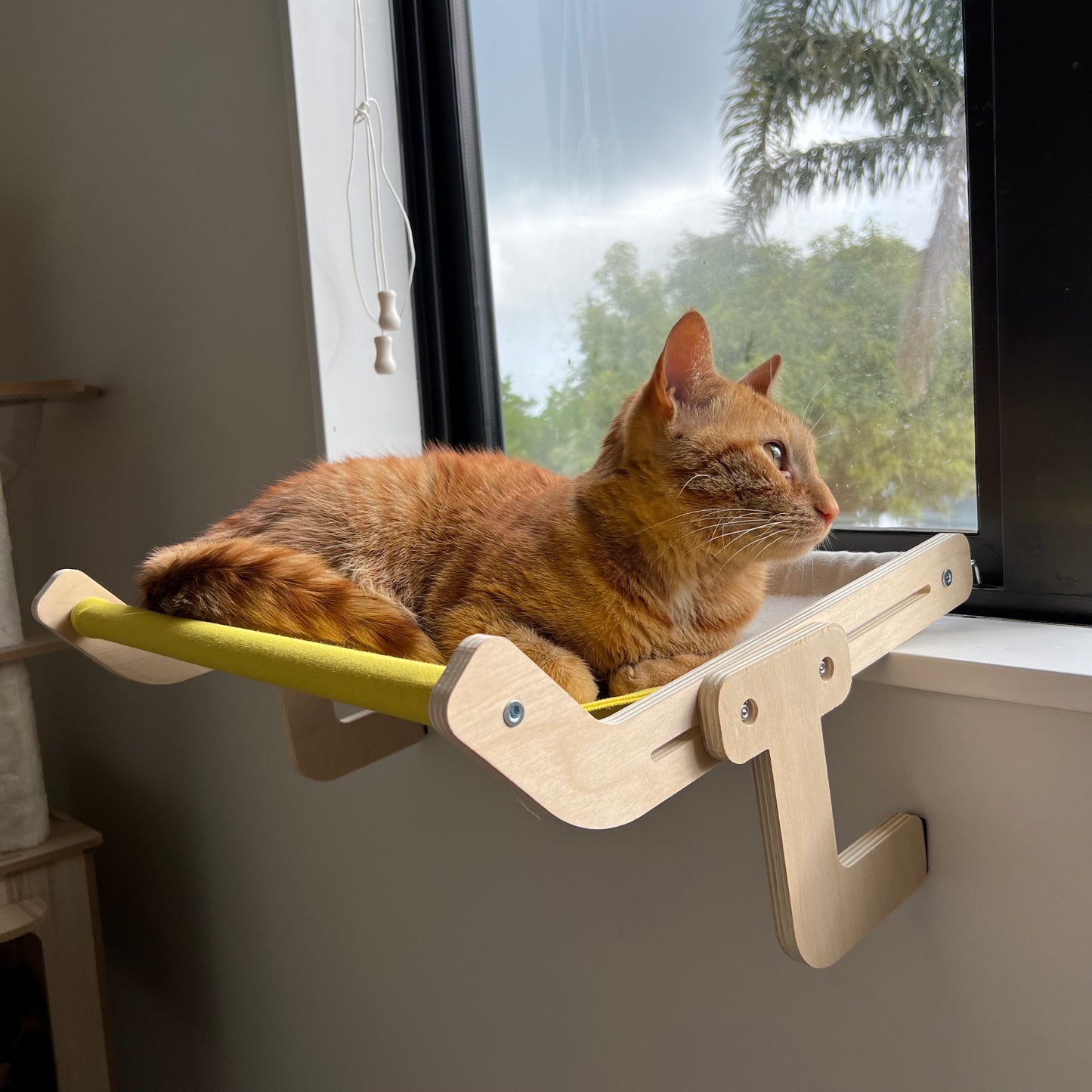 Cat Window Bedside Hammock - Yellow & Grey