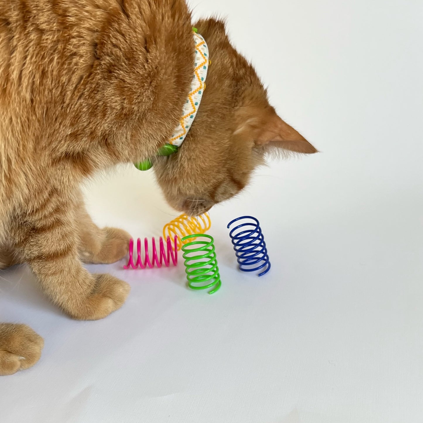 Cat Toy Rainbow Spring Set