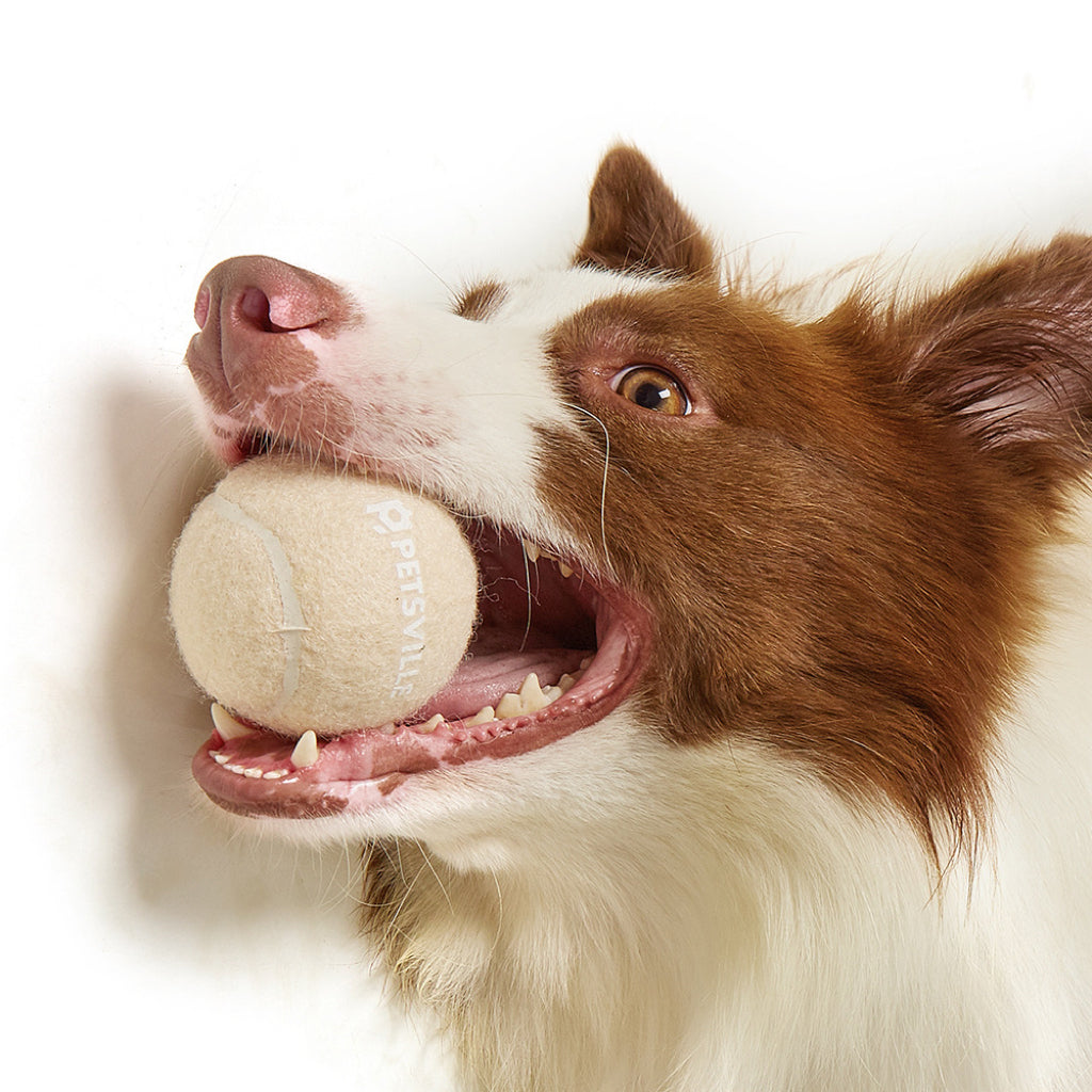 Ice-cream Tennis Ball